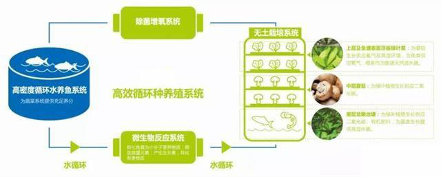 18luck新利网址登录